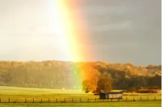 Paysage avec Arc-en-Ciel, Beauté Naturelle des Vosges du Nord en Alsace