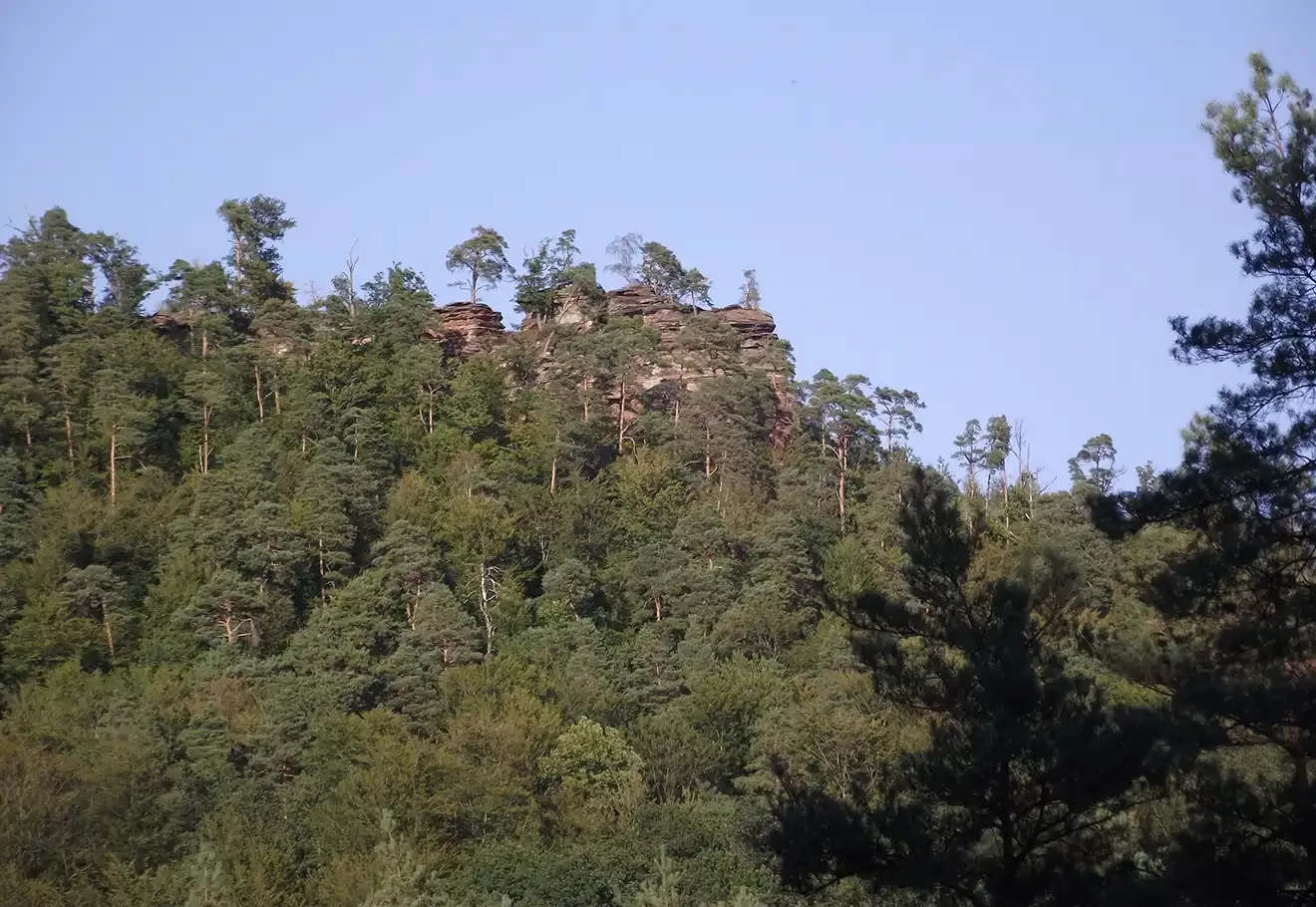 Les Vosges du Nord : un paradis pour les amoureux de balades et randonnées