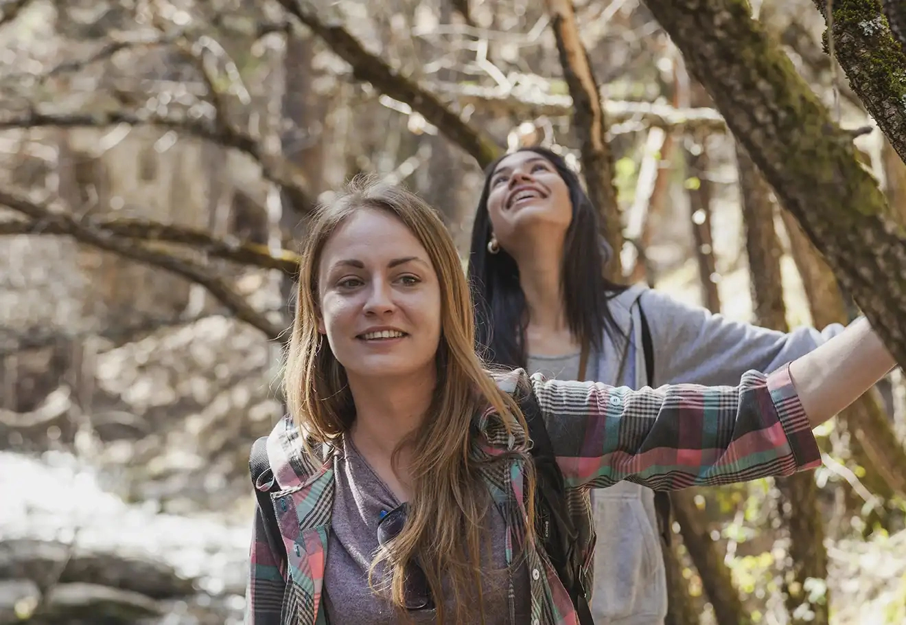 Weekend nature en Alsace Vosges du Nord : respirez, ralentissez, reconnectez-vous