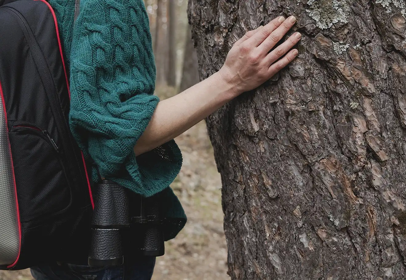 Découverte nature sauvage dans les Vosges du Nord : une immersion unique au cœur du vivant