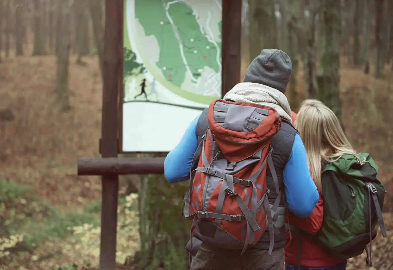 Week-end nature en Alsace : vivez la forêt autrement